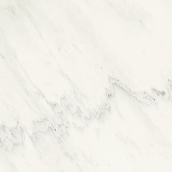 Graniti Fiandre Marble Lab Premium White Honed 60x60