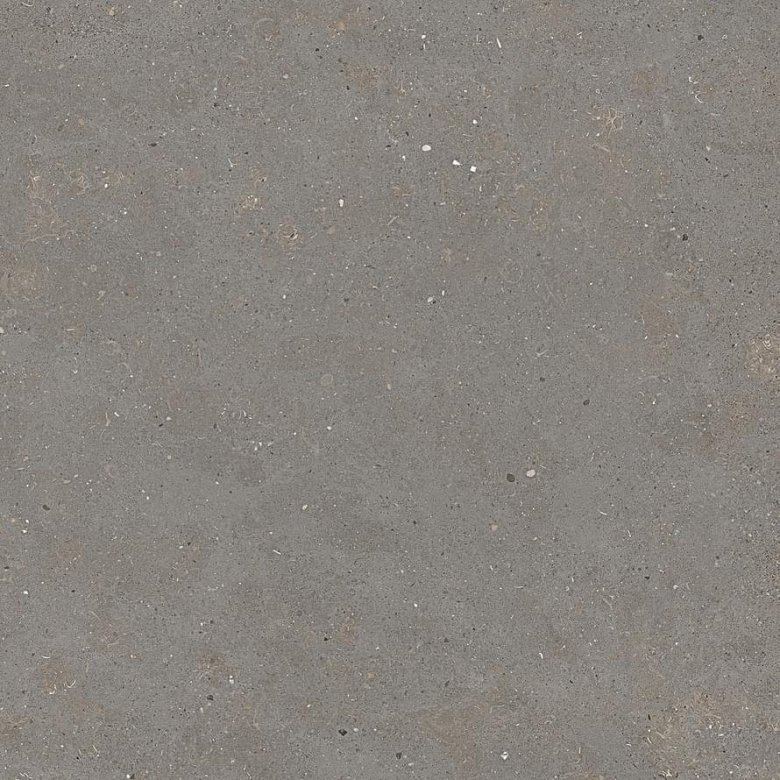 Graniti Fiandre Solida Grey Prelucidato 100x100