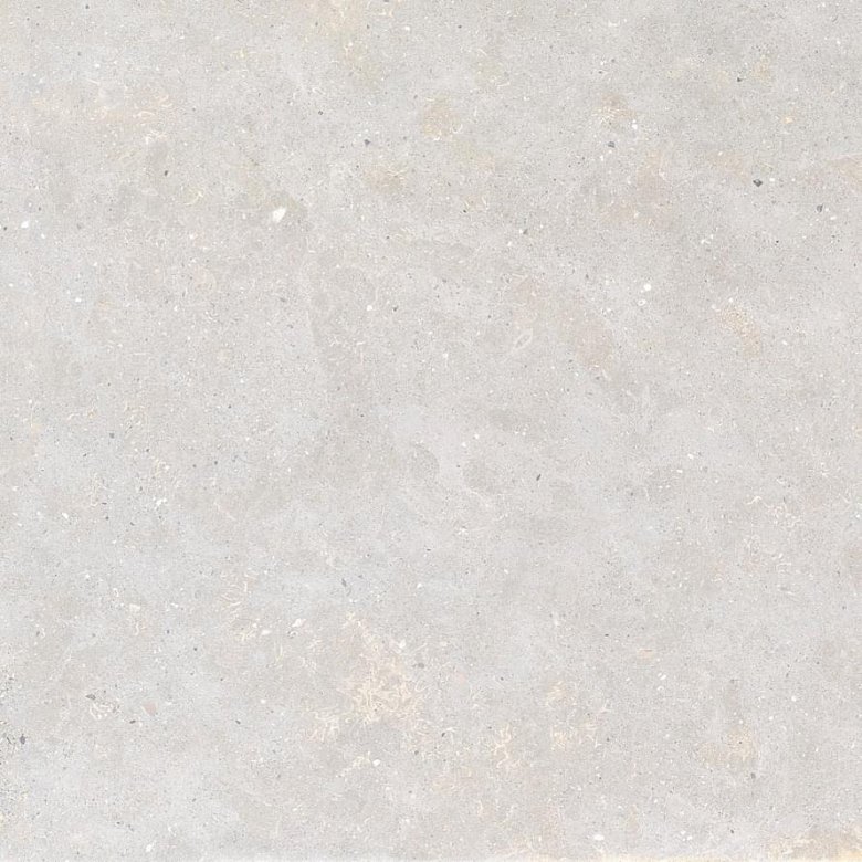 Graniti Fiandre Solida White Prelucidato 100x100