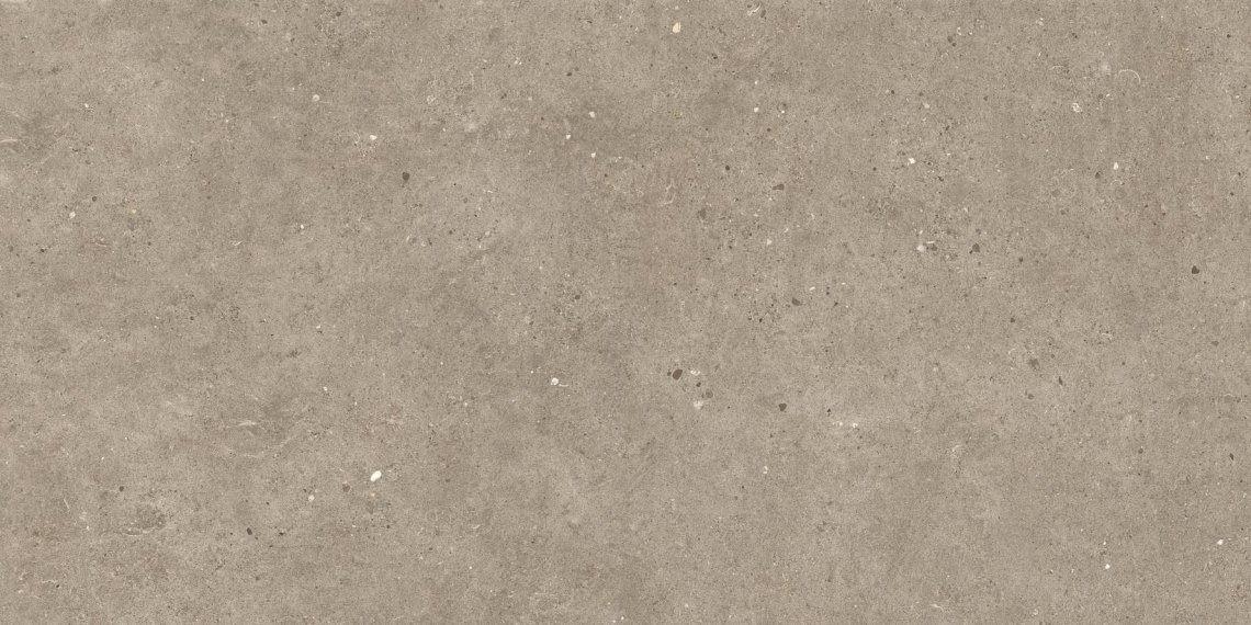 Impronta Italgraniti Silver Grain Taupe 60x120