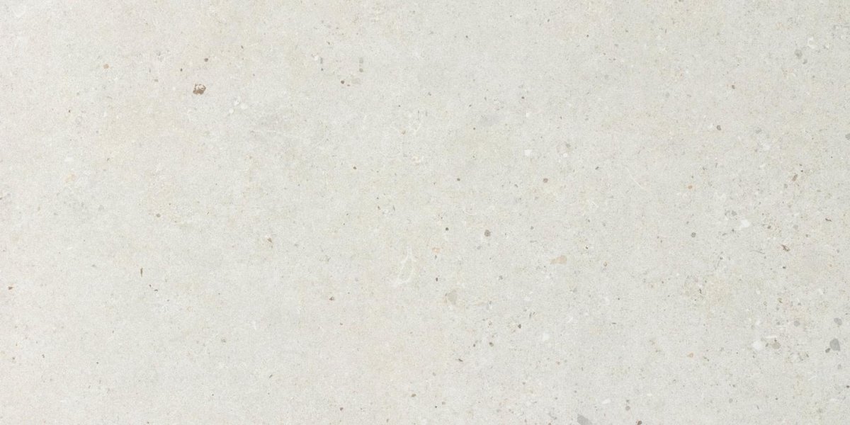 Impronta Italgraniti Silver Grain White 60x120