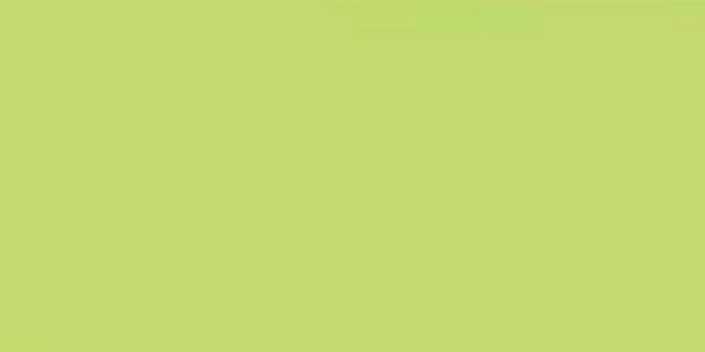 Land Gallery Slim Lime 29.75x59.55