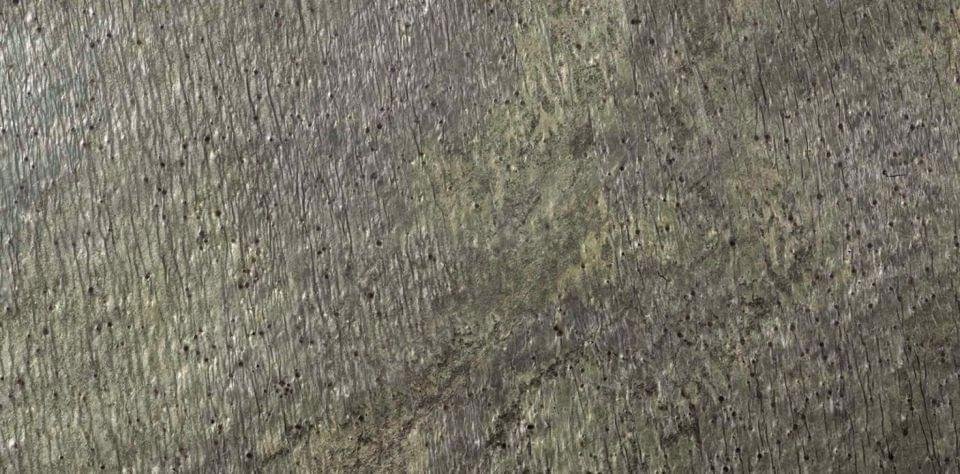 LAntic Colonial Natural Stone Delhi Pulido Bpt 30x60