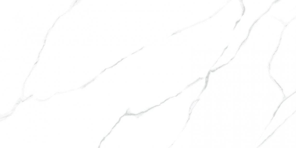 LCM Porcelain Atlantic Marble 60x120