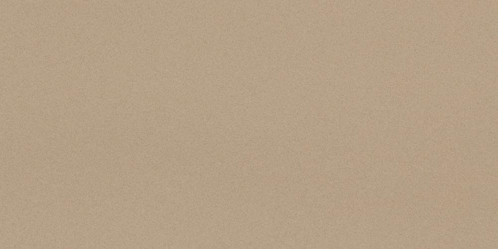 Leonardo Icon Beige 12 60x120