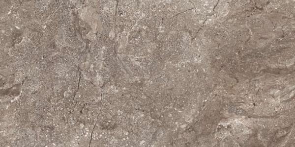 Leopard Porcelain Stone Grey Polished 60x120