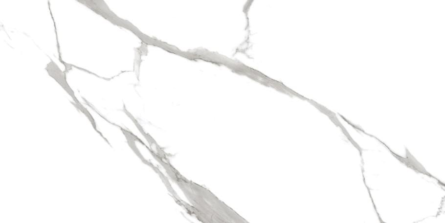 Maimoon Porcelain Statuario Blanco 60x120