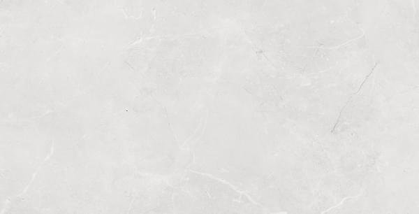 Marjan Tile Stone Valeria Light Gray 60x120