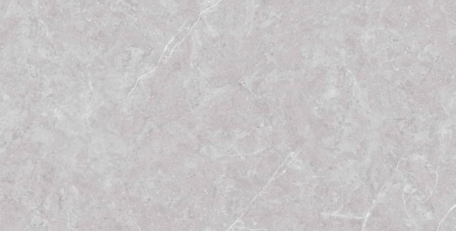 Neodom Stone And More Tokyo Grey Matt 60x120