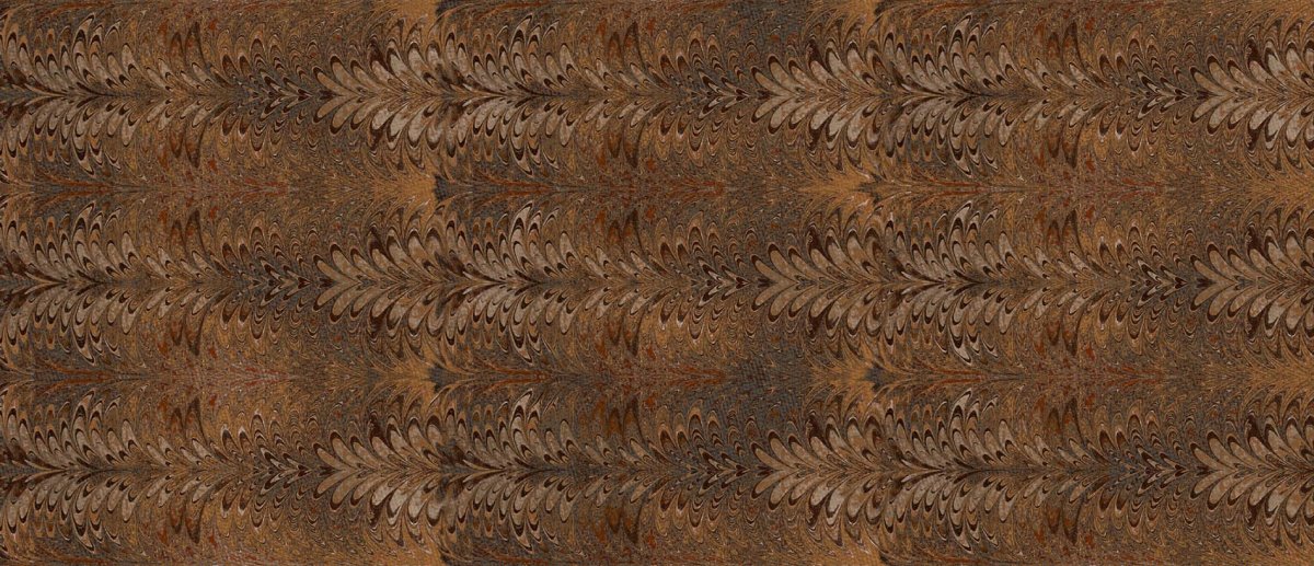 Ornamenta Operae Damasque Brown 120x278