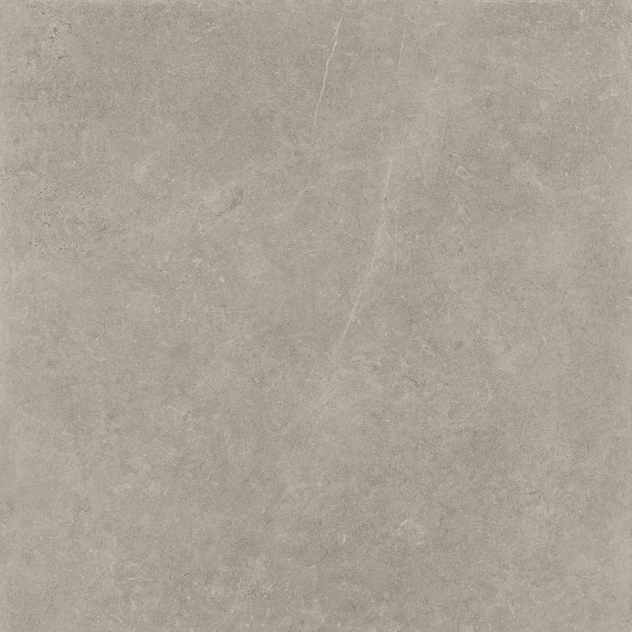 Panaria Prime Stone Silver Lux Rect 60x60