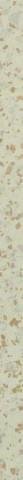 Petracers Carnevale Veneziano Listello Beige 4x80