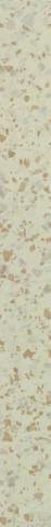 Petracers Carnevale Veneziano Listello Beige 8x80