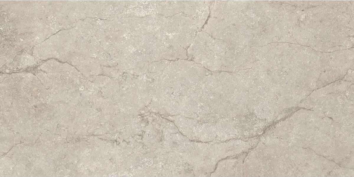 Piemme Ceramiche Stone Concept Argento Nat-Ret 30x60