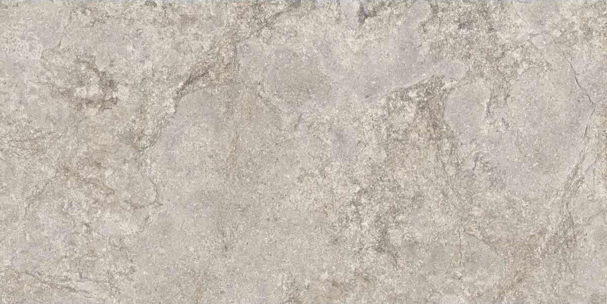 Piemme Ceramiche Stone Concept Grigio Nat-Ret 60x119.5