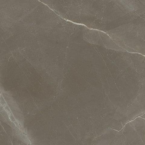 Porcelanite Dos 1804 Rectificado Pulido Gris 98x98