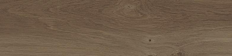 Porcelanosa Forest Cognac 22x90