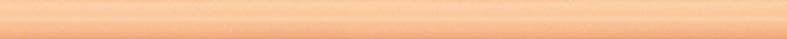 Rako Easy Orange Listello 2x40