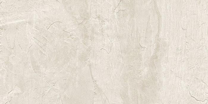 Rex Ardoise Blanc 6 mm 60x120