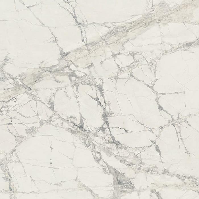 Rex Prexious Mountain Treasure Matte 120x120