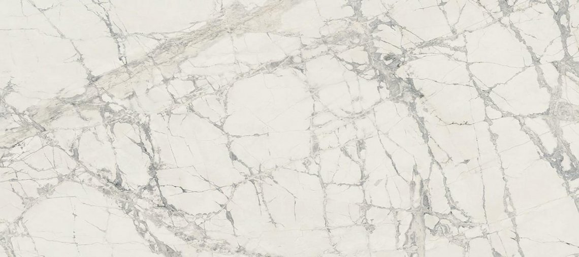 Rex Prexious Mountain Treasure Matte 120x280