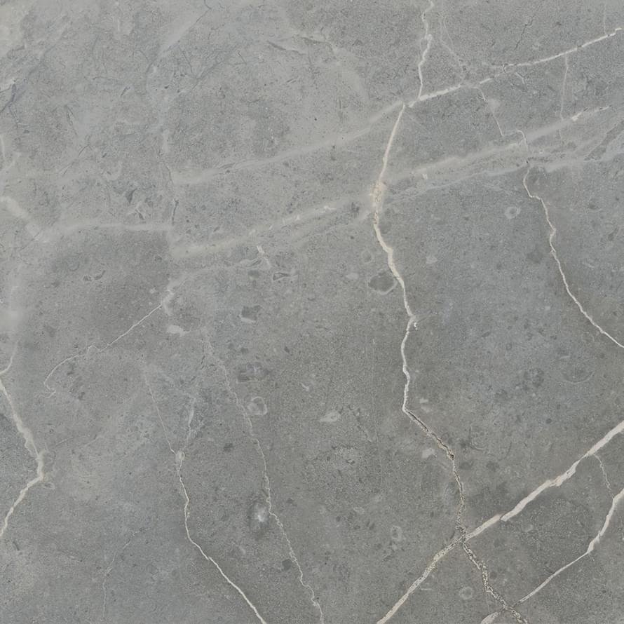 Ricchetti Marble Boutique Fior Di Bosco Lux 59.4x59.4