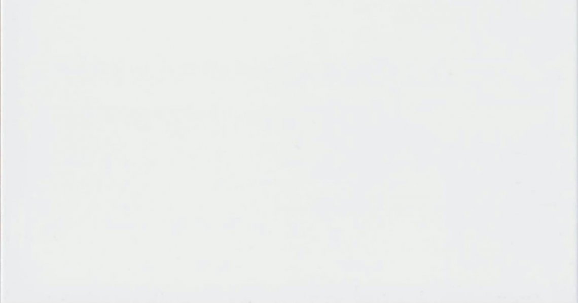 Saloni Sintesis Blanco Mate 31x60