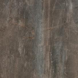 Serenissima Cir Fossil Bruno 60x60