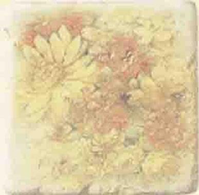 Serenissima Cir Marble Age Inserto Ottocento Botticino S3 Camomile 10x10