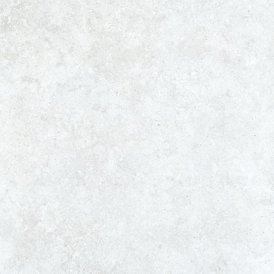 Settecento Shellstone Extrawhite 60x60