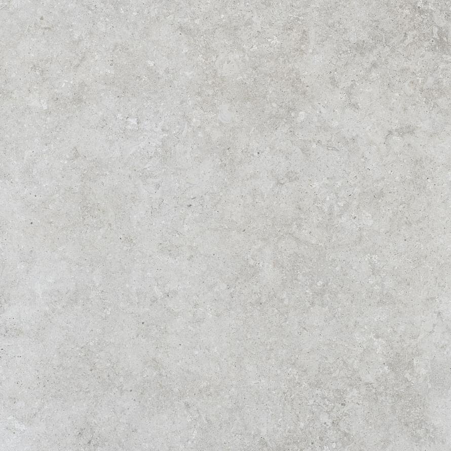 Settecento Shellstone White 80x80