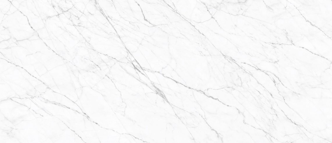 Simpolo Porcelain Carrara Twig 120x278