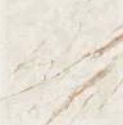 Versace Marble Megabarocco Bianco Lapp 58.5x58.5