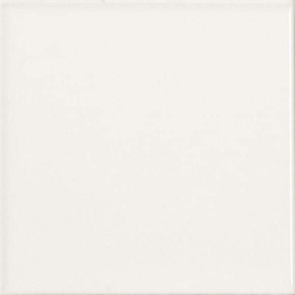 Vilar Arbaro Monocolor Liso Mate Blanco 10x10