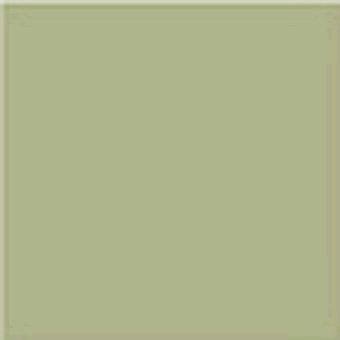 Vives Monocolor Musgo 20x20