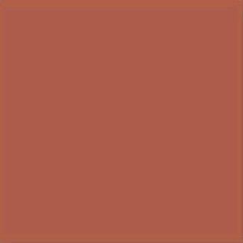 Vives Monocolor Teja 20x20